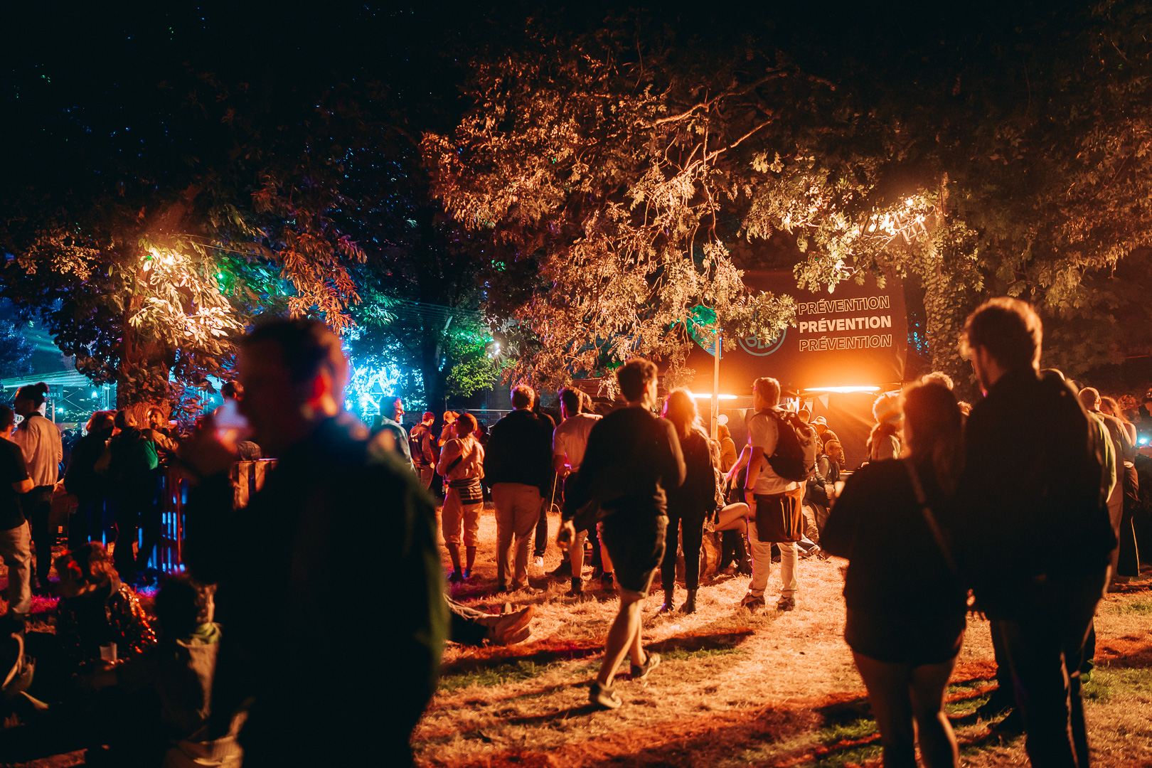 Des festivaliers se retrouvent entre les arbres éclairés du site.